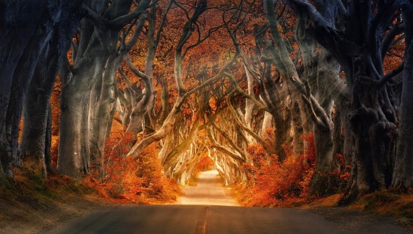 "Il CAMMINO SPIRITUALE: DALL'INFERNO AL PARADISO"