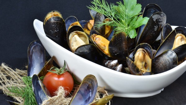 &quot;ANCHE LE COZZE INSEGNANO&quot;
